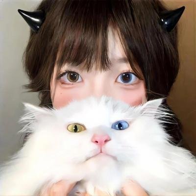狂宴